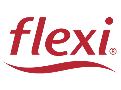 logo flexi shoes